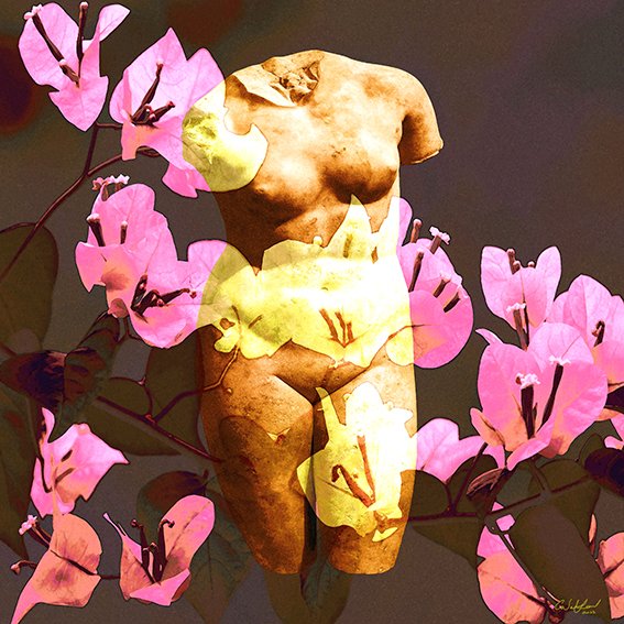 Carmen Wakeford - The Sanctury of Happiness